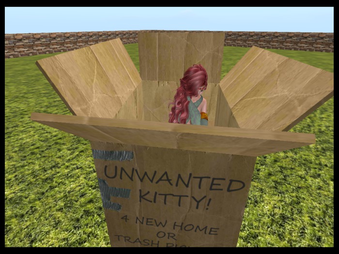 ~RST~ Unwanted Kitty Box RESELL  C/T