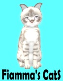 KittyCatS Box - Australian Mist - Blue Marble