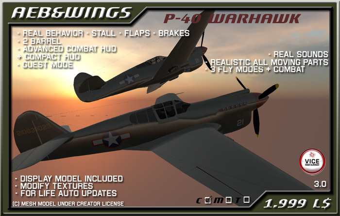 AEB&W P40 Warhawk 3.0