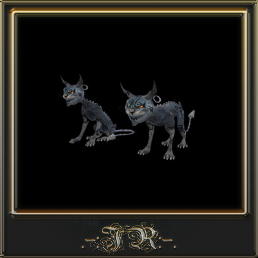 Cheshire Cat