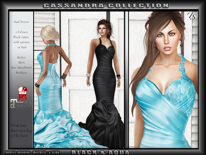 TS-Formal-Cassandra-Aqua