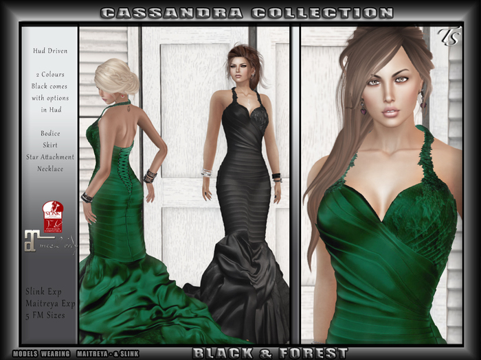 TS-Formal-Cassandra-Forest