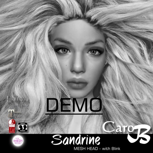 DEMO : Mesh Head- SANDRINE -V2