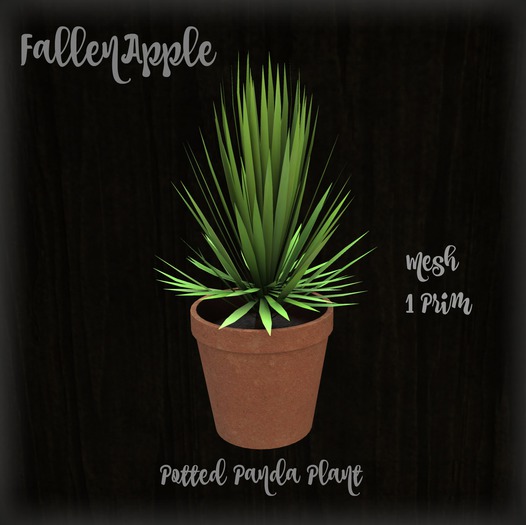 FA - Mesh Panda Plant