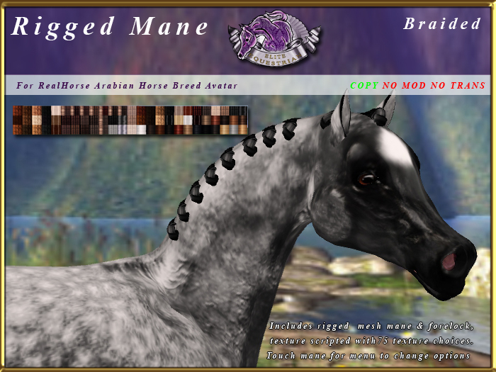 *E* RealHorse Rigged Braided Mane Set [BOXED] RHAB
