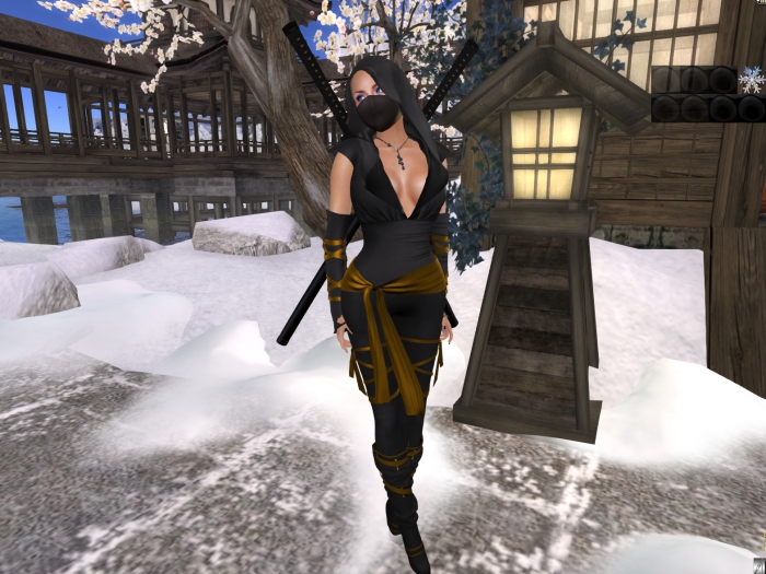 Para's Ninja with Strapped Boots - Gold