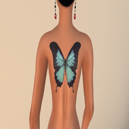 Blue Butterfly Wings Back Tattoo Box