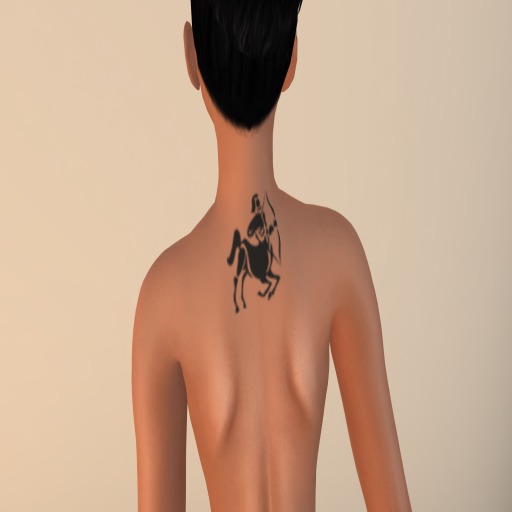 Sagitarius Tattoo (Back)