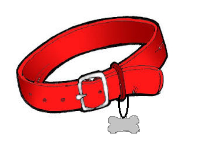 bone collar