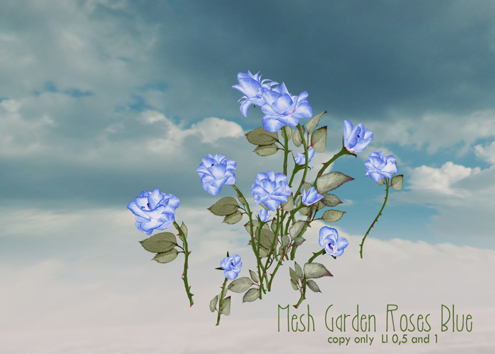 Boudoir -Garden Roses Blue