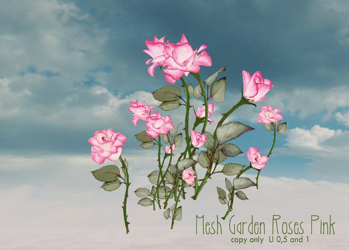 Boudoir -Garden Roses Pink
