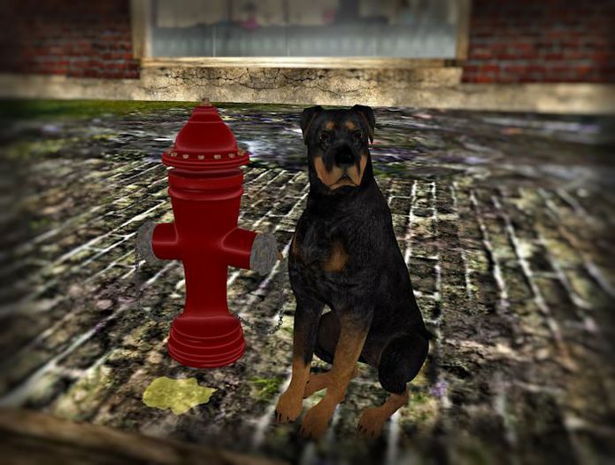 Fire Hydrant & Yellow Labrador Dog 4LI