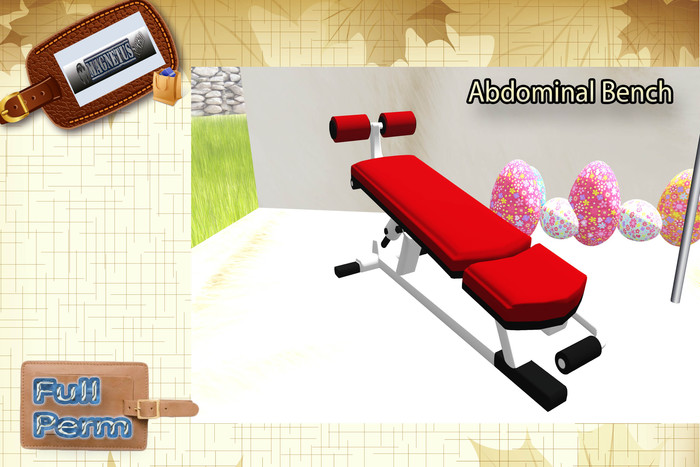 Abdominal Bench