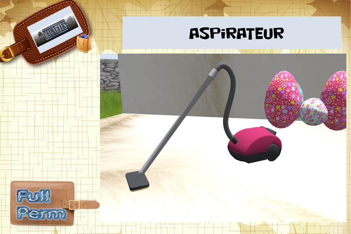 Aspirateur