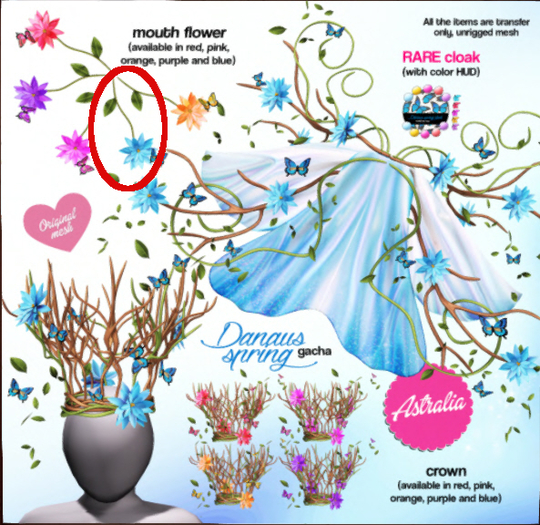 Astralia - Danaus Spring flower (blue)