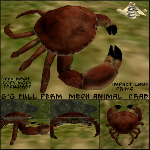 G^G full perm  mesh animal  crab