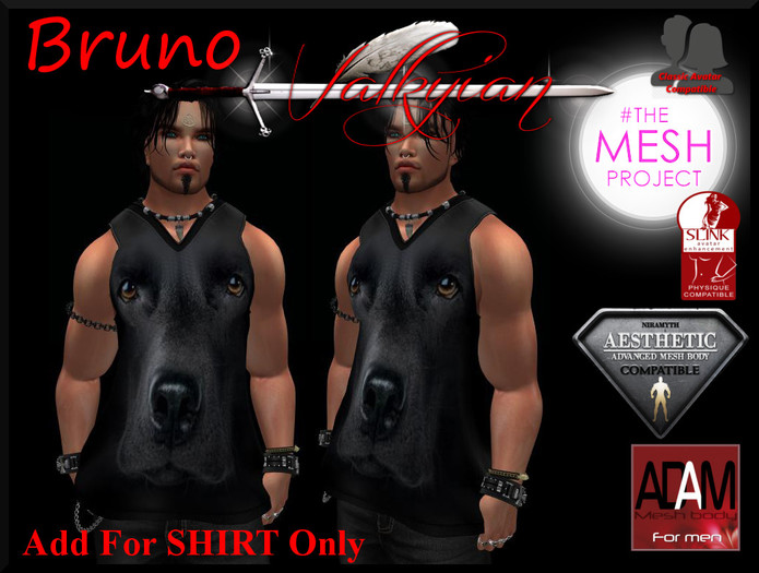 ~Valkyrian~-BRUNO-- MENS JERSEY TOP (BOXED)