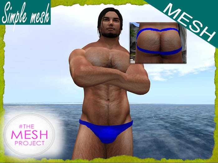 SM Blue Jockstrap TMP