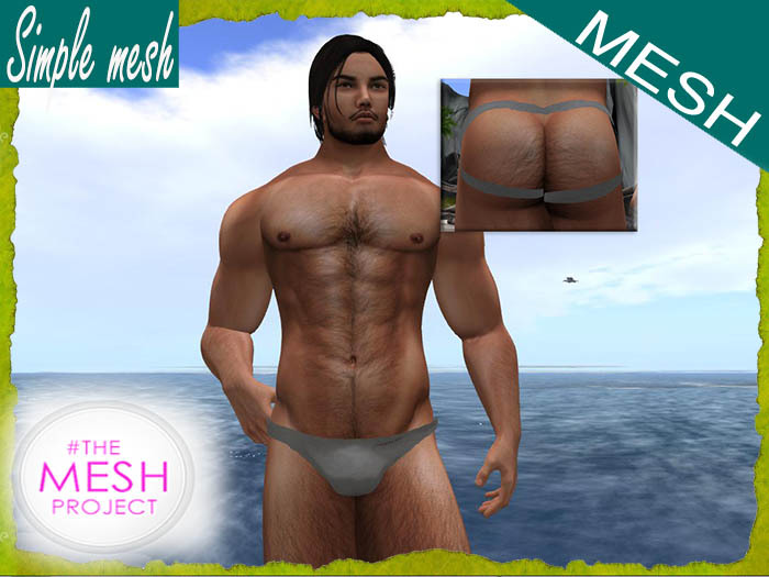 SM Gray Jockstrap TMP