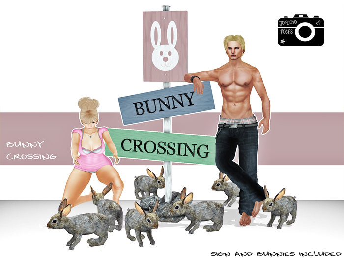 .:Joplino:. Bunny Crossing