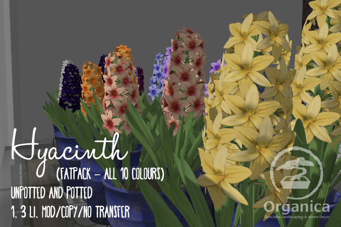 [ Organica ] Hyacinth (Fatpack)