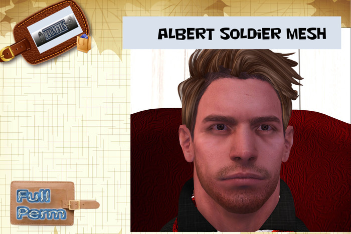 Albert Soldier Mesh