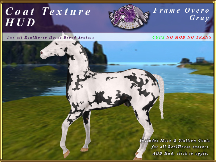 *E* RealHorse Coat Texture HUD [BOXED]  FrameOvero Gray