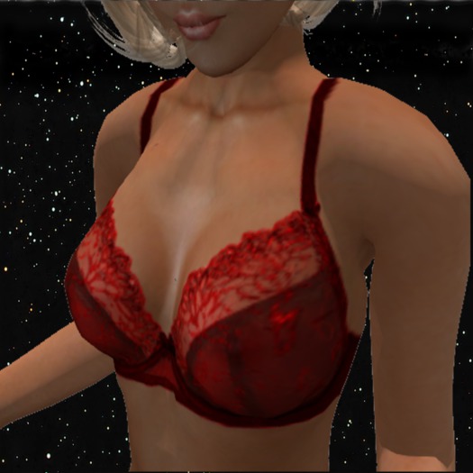 Red lace bra