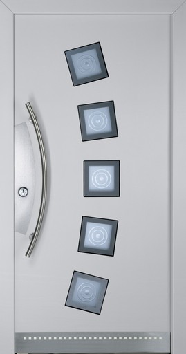 Carpe Diem linkable and lockable Door Mod.9 with access control