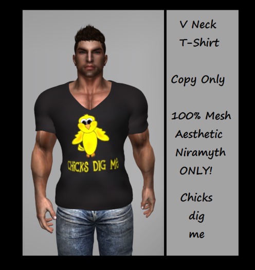 [Aesthetic] Chicks dig me