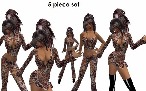 leopard print ensemble