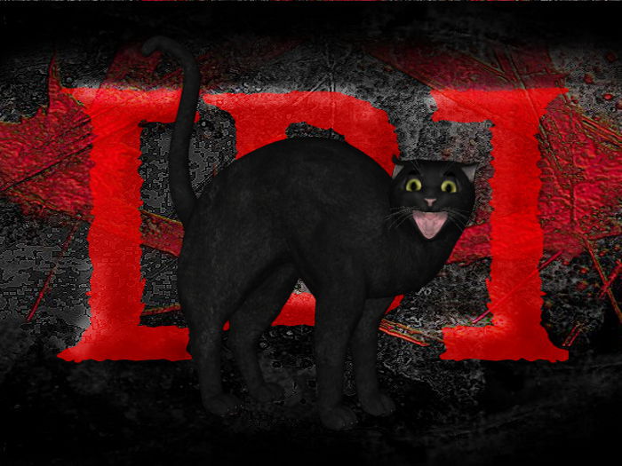 [B]lackened Random Meow (boxed)