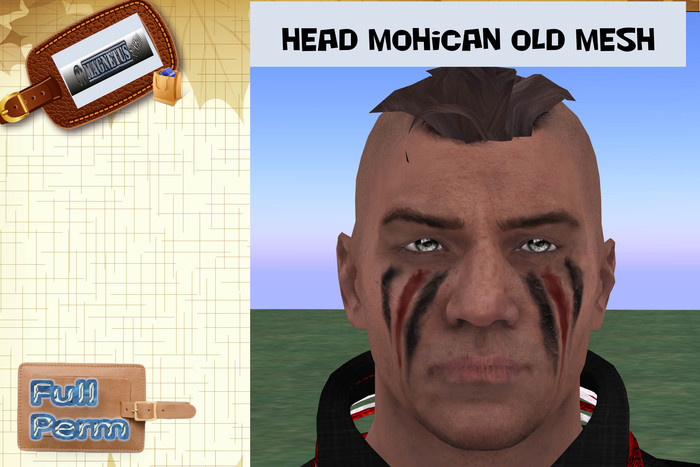 Head Mohican Old Mesh