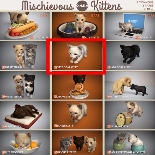 O.M.E.N - Mischievous Kittens - White Coat Kitty BOX