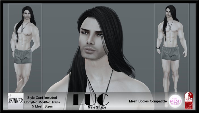 Zinner Shapes - Luc Male Shape