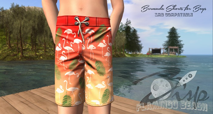 .:ZiSP:. Flamingo Beach Bermuda Shorts - SMB/ AVI(L)