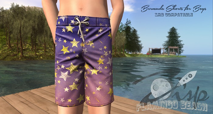 .:ZiSP:. Stars Bermuda Shorts - SMB/ AVI(L)