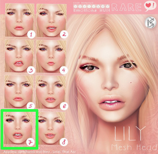 7_Genesis_Head_Lily_1.0_Wonder_BOX