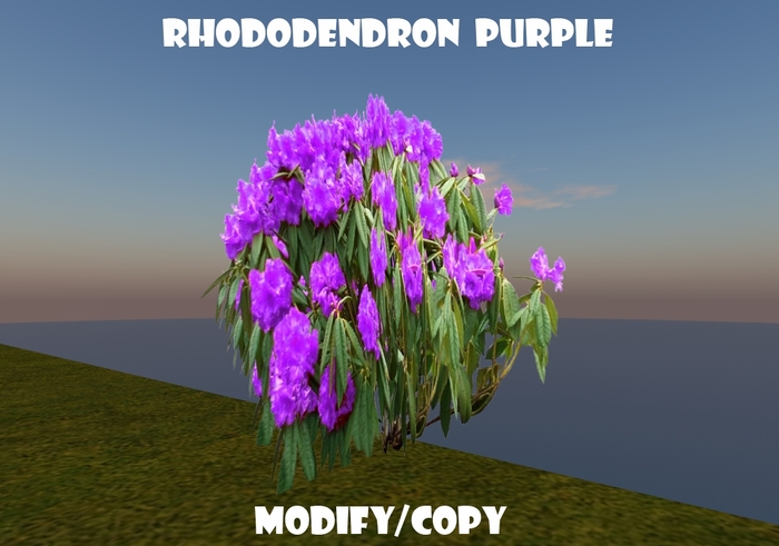 Rhododendron Bush Purple (Flexi)