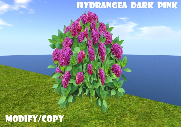 Hydrangea Dark Pink (Flexi)