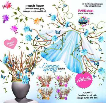 Astralia - Danaus Spring flower (purple)