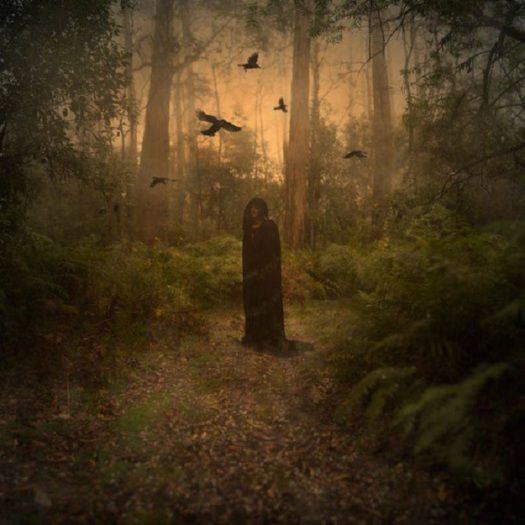 Raven's Passage Poster