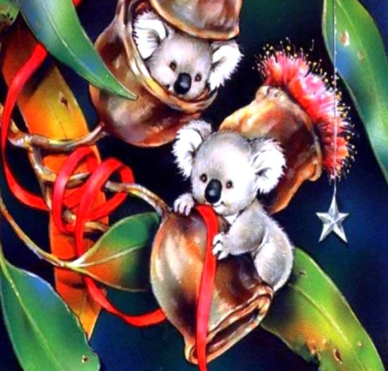 Gumnut Koala Poster