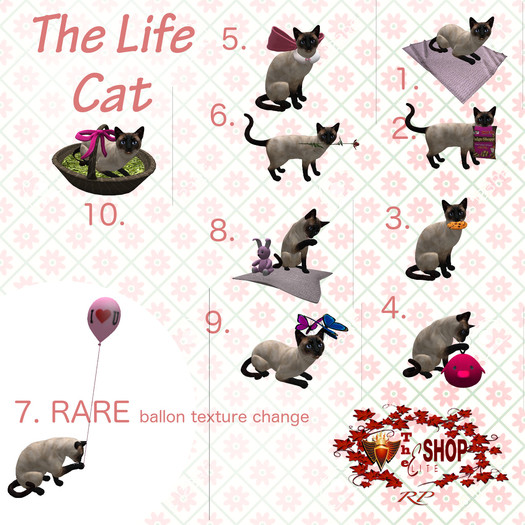 LifeCat *5-i'm girl