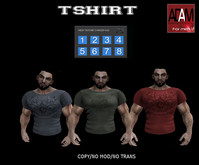TSHIRT ADAM MESH BODY
