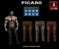 PICARO PANTS ADAM MESH BODY