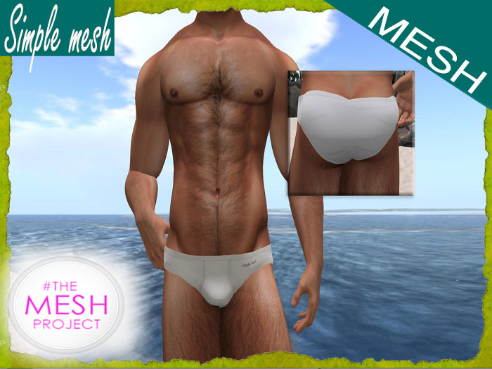 SM White Brief TMP