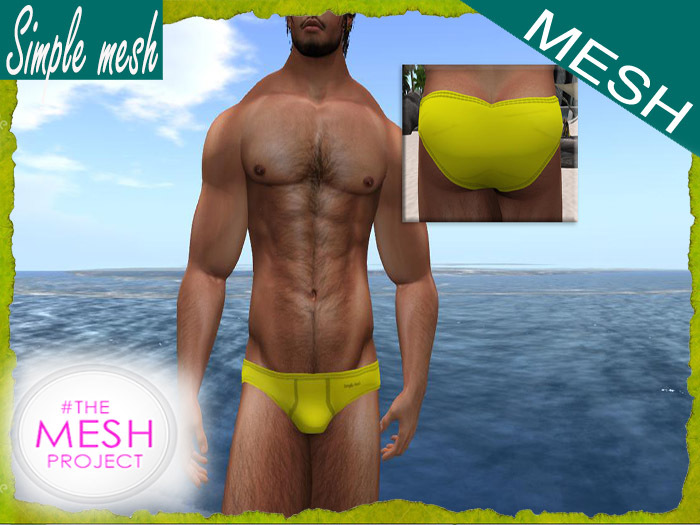 SM Yellow Brief TMP