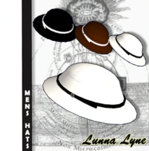 Men's Hats