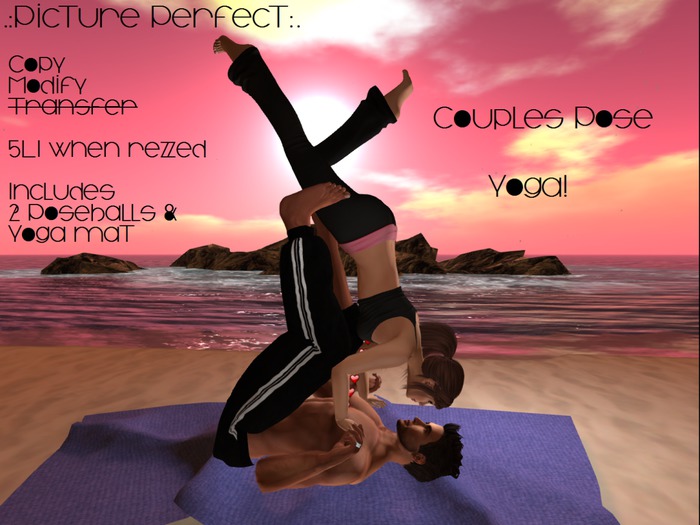.:Picture Perfect:. Couples Pose - Yoga! (boxed)
